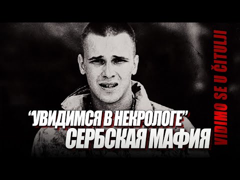 Видео: Увидимся в некрологе I Сербская мафия
