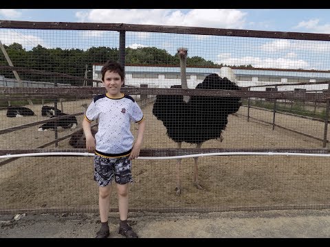 Видео: Экоферма в Казеевке. Пензенская область.