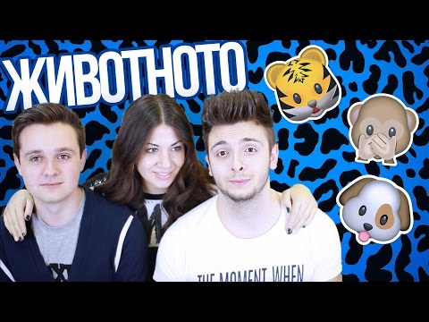 Видео: Животното Challenge w/ Flapa!