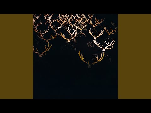 Видео: Сур бөрө