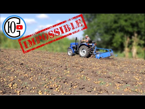 Видео: ТЕСТИРУЕМ НОВУЮ транспортерную КАРТОПЛЕКОПАЛКУ к ТРАКТОРУ!!!