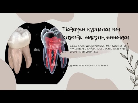 Видео: Тістердің құрылысы мен қызметі, олардың гигиенасы 8-сынып. 4-бөлім. Қоректену