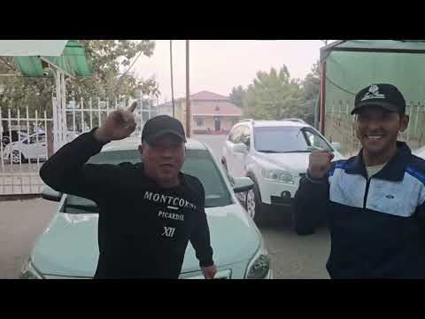 Видео: 18 ноября 2025 г.