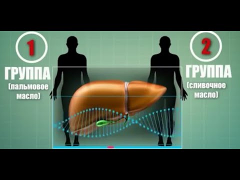 Видео: "По плодам их...". Фильм Аркадия Мамонтова