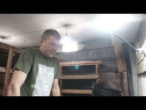 Видео: Не в деньгах счастье!