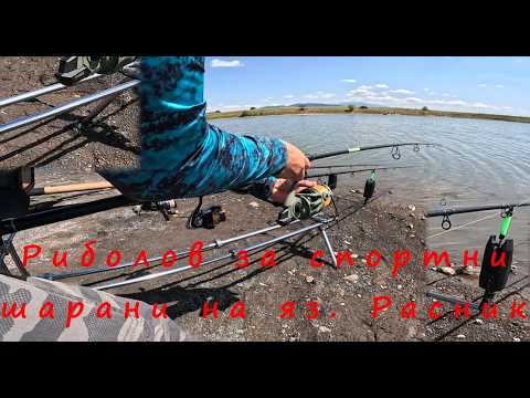 Видео: Риболов за спортни шарани на яз. Расник. Печелившите захранки, примамки, монтажи и тактики.