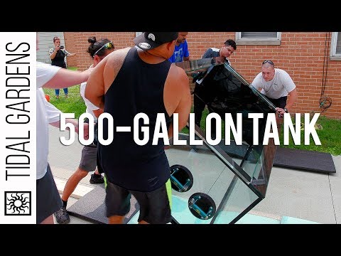 Видео: Перевозка большого 500-галлонного аквариума с помощью Rico's Aquariums