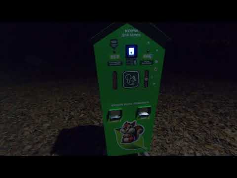 Видео: Пенза. Олимпийская аллея. Осенний вечер. Зашёл на огонёк в Арт пространство - Артель.