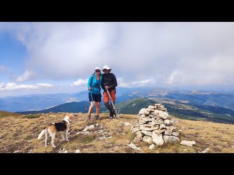 Видео: Как изкачихме връх Амбарица през лятото | Показвам ви и хижа Амбарица | Семейно сме в Стара планина 