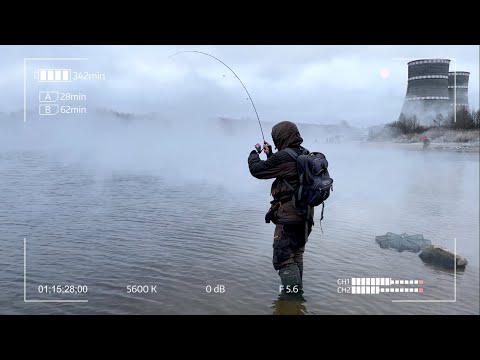 Видео: Удомля. Тилапия. Рыбалка на спиннинг.