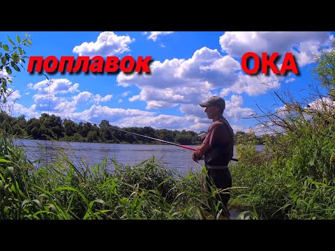 Видео: ХЛЕБНАЯ ПРИКОРМКА РАБОТАЕТ. РЫБАЛКА В ПРОВОДКУ на ОКЕ.