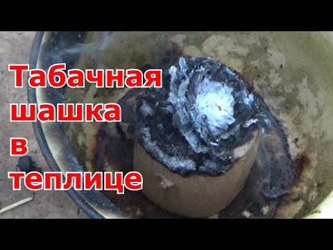 Видео: Табачные дымовые шашки в теплицах для борьбы с вредителями и болезнями и как профилактика