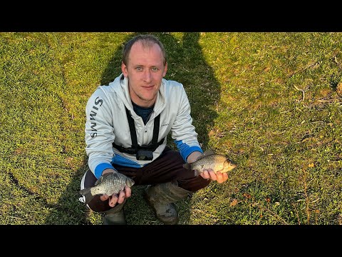 Видео: Риба карась рибалка почалась👍🎣 Карась на поплавок+пикер.Сезон 2023 #карась#рыбалканапоплавок#пикер