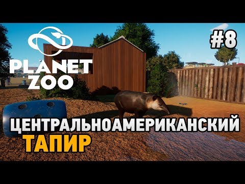 Видео: Planet Zoo #8 Центральноамериканский тапир