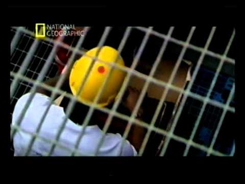 Видео: Секунды до катастрофы "Deepwater horizon" (Глубоководный горизонт)