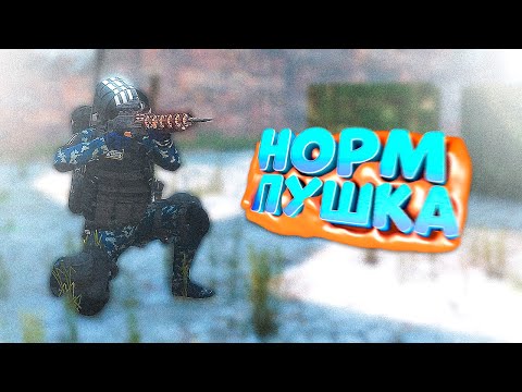 Видео: РАДИ ЭТОГО Я ВСТУПИЛ В ЧН... в DayZ [STALKER RP]