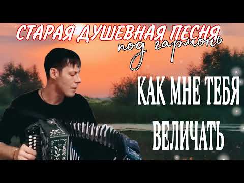 Видео: Душевная песня КАК МНЕ ТЕБЯ ВЕЛИЧАТЬ - Алексей Кракин #песниподгармонь