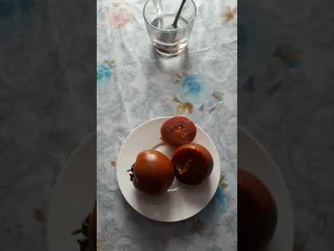 Видео: Хурма из косточки, без стратификации. Удачный эксперимент!