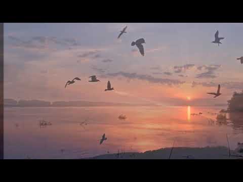 Видео: Пристан -*- Песен за Силистра