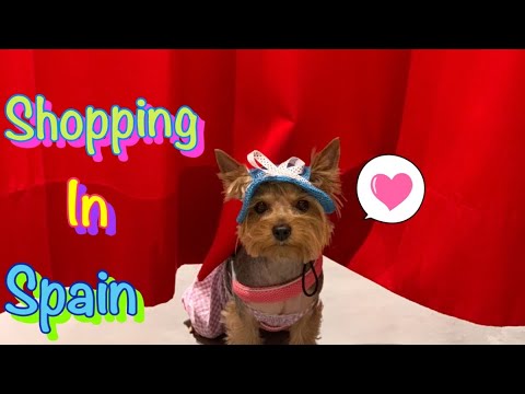 Видео: DOG VLOG: Отдых с собакой в Испании // Шоппинг на Канарах с собакой // Зоомагазин на Канарах