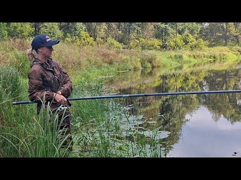Видео: Рыбалка на лесной реке! Рыбы просто ТЬМА!
