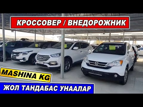 Видео: ЖОЛ ТАНДАБАС УНААЛАР👍ЛЕКСУС GX/ NX/ ФОРАННЕР/ РЕКСТОН/ СОРЕНТО/ БМВ X5/ ПАЛИСАД/ КОНА/ САНТАФЕ/ К5