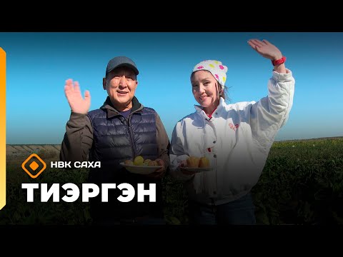 Видео: «Тиэргэн»    (12.09.25)
