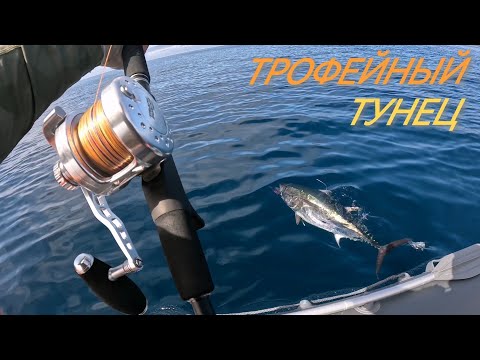 Видео: Поймали с Егором два огромных тунца на поппер и ратлин. 