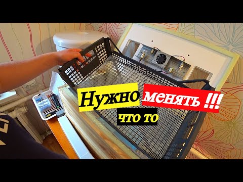 Видео: Взялся за старое !!! Буду возрождать жизнь !!!