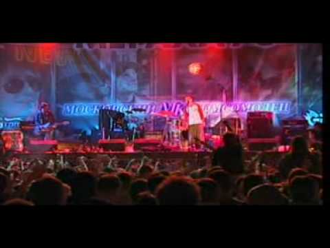 Видео: Дельфин Романс