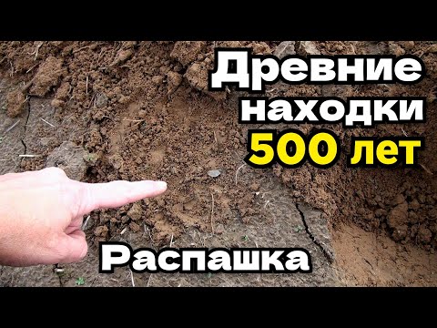 Видео: Коп царских монет! Поиск металлоискателем! Нашли старинные находки монеты и серебро! Монете 500 лет!