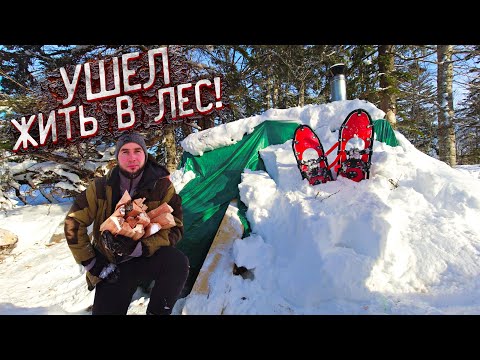 Видео: НОЧЬ в ЗЕМЛЯНКЕ | ОДИН В ЛЕСУ ЗИМОЙ | ДОМ под ЗЕМЛЕЙ  | Утепляю дом, делаю лежак | ЛЕСНАЯ КУХНЯ