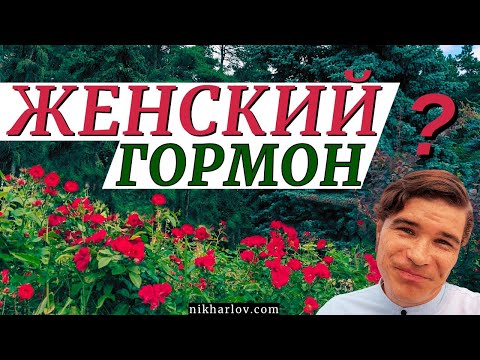 Видео: Эстроген и женское здоровье. Заместительная гормональная терапия для женщин. Показания и риски.