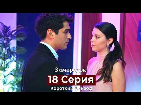 Видео: Зимородок 18 Cерия (Короткий Эпизод) (Русский дубляж)