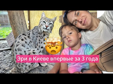 Видео: Эри в Киеве впервые за 3 года 🤯 / Eri in Kyiv for the First Time in 3 Years 🤯