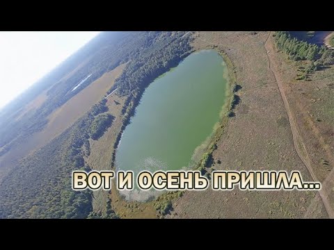 Видео: Вот и осень пришла. FPV flight on Flywoo Explorer LR4 in the Russian north