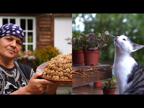 Видео: Сажаем Новые Цветы и Готовим Чак-Чак