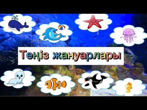Видео: Теңіз жануарлары. Су жануарлары. Морские обитатели на казахском. Балықтар.