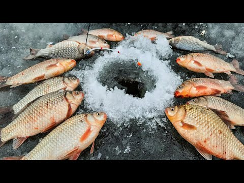 Видео: ЗИМНИЙ БОКОВОЙ КИВОК РУЛИТ. Зимний карась. Карась зимой