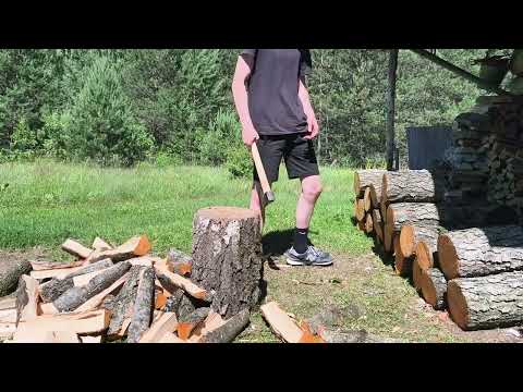 Видео: Свежая болотная ольха часть 1/Fresh swamp alder part 1