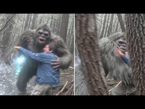 Видео: BIGFOOT Похитил Меня" — Ужасная Встреча С BIGFOOT, Рассказанная Туристом из Апалач