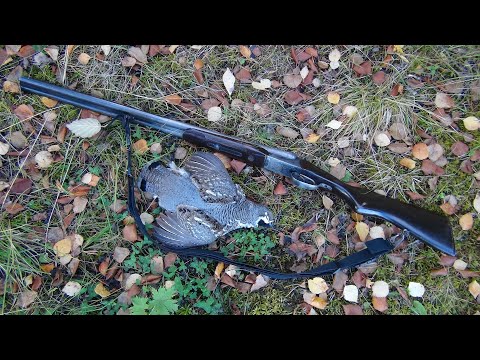 Видео: Знакомство с Карелией. Мечты... Мечты... Часть 16
