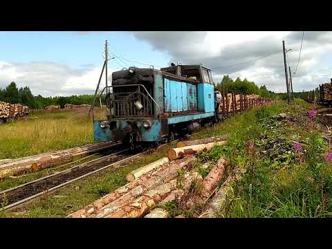 Видео: Белоручейская УЖД. Продолжение