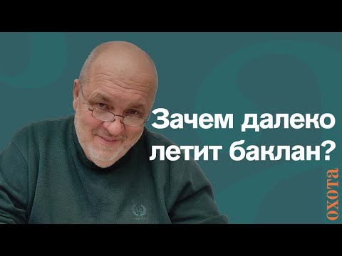 Видео: Зачем далеко летит баклан? Валерий Кузенков о вреде от баклана.