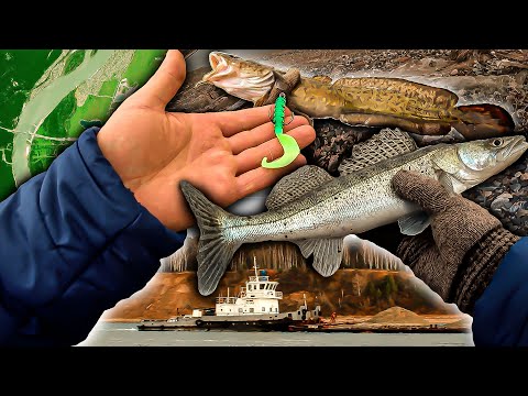 Видео: ЛЕЩ, СУДАК, НАЛИМ, ЩУКА / Закрываю сезон на СЕВЕРНОМ ОБЪЕЗДЕ / Рыбалка в Новосибирске.