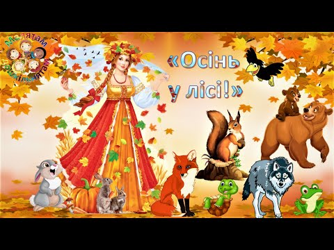 Видео: Осінь в лісі!