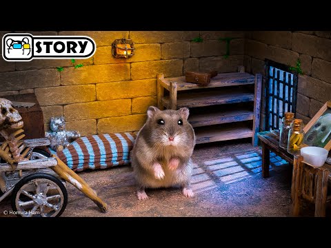 Видео: 🐹 Хомяк сбегает из лабиринта Дом Гренни 🐹 Хомура Хам Питомцы