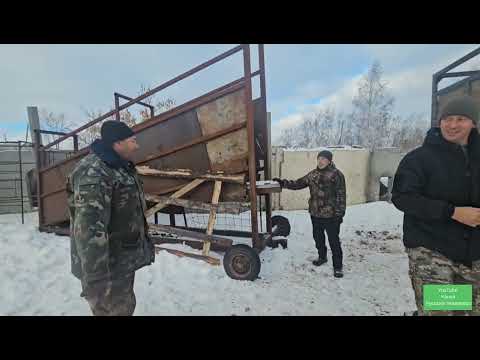 Видео: Кобылка Дуська, Малышка и Мустанг на зимовку прибыли домой.Самый лучший трап. Савраска в путь