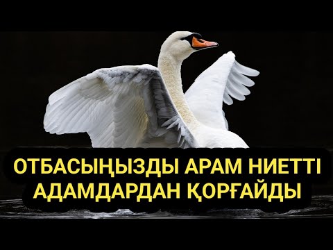 Видео: Арам ниетті пейілі тар адамдардан отбасыңызды қорғайды