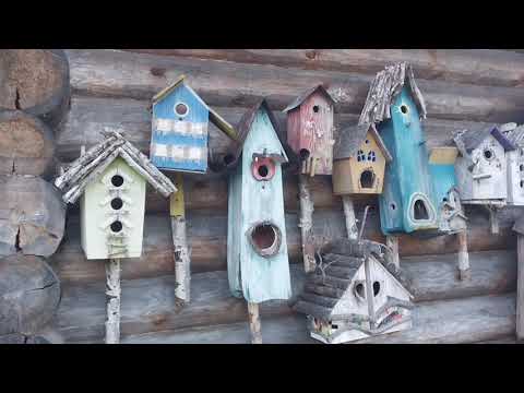 Видео: Переславль-Залесский. День первый